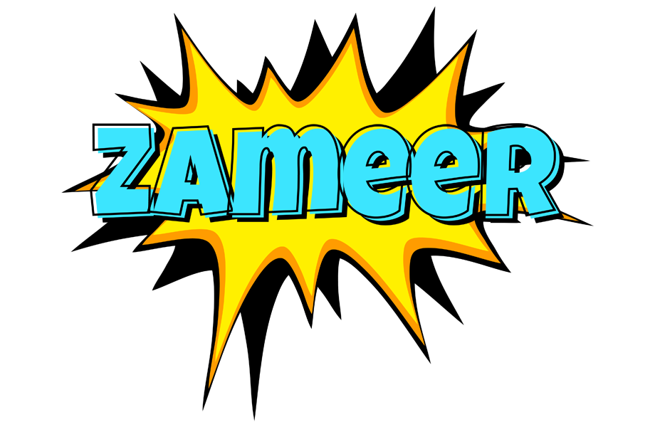 Zameer indycar logo