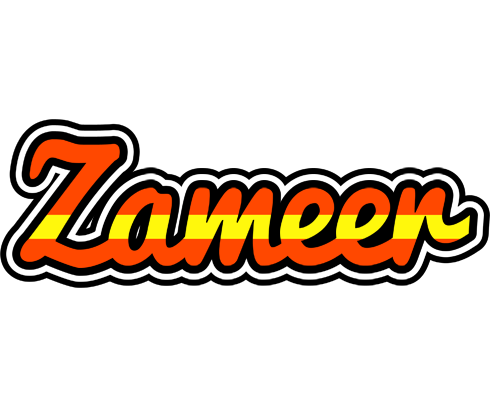 Zameer madrid logo