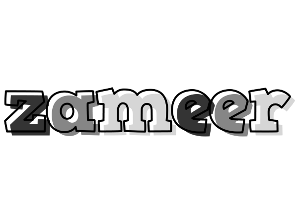 Zameer night logo