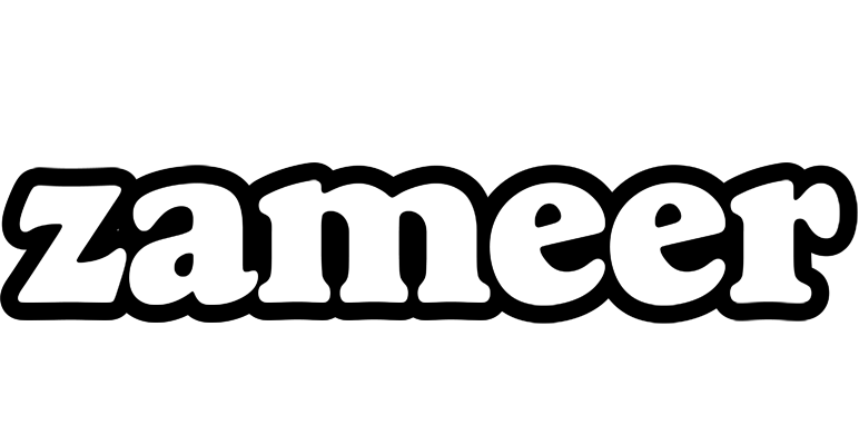 Zameer panda logo