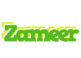 Zameer picnic logo