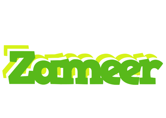 Zameer picnic logo