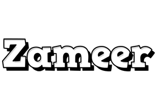 Zameer snowing logo