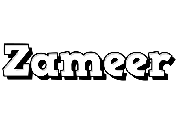 Zameer snowing logo