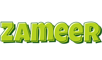 Zameer summer logo