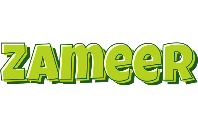 Zameer summer logo