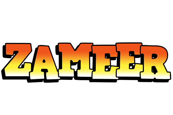 Zameer sunset logo