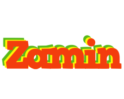 Zamin bbq logo