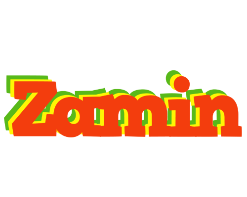 Zamin bbq logo