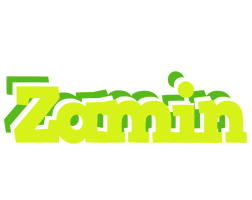 Zamin citrus logo