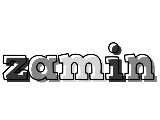 Zamin night logo