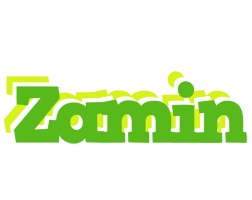 Zamin picnic logo