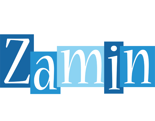 Zamin winter logo