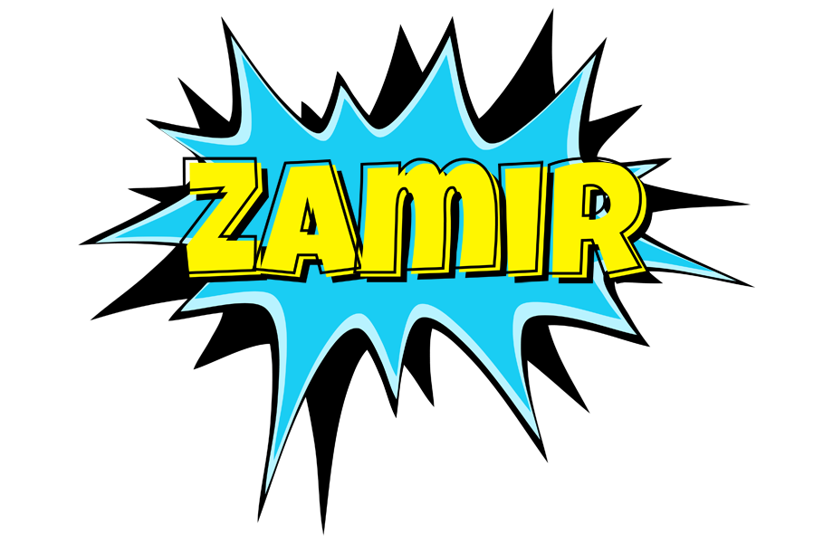 Zamir amazing logo
