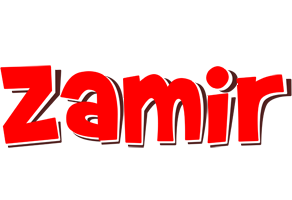 Zamir basket logo