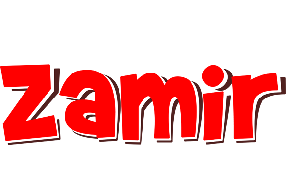 Zamir basket logo
