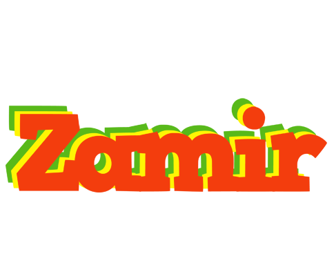 Zamir bbq logo