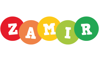 Zamir boogie logo