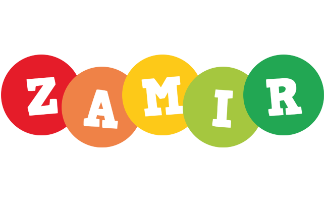 Zamir boogie logo