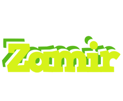 Zamir citrus logo