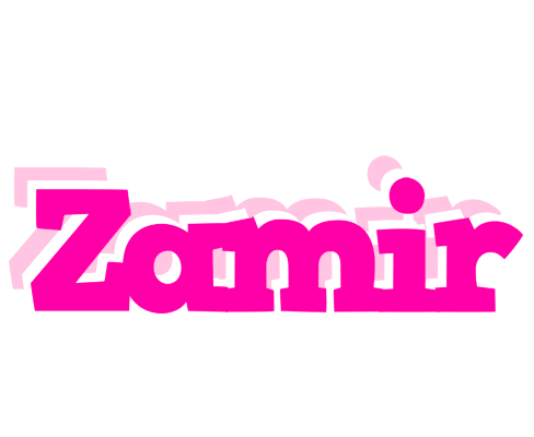 Zamir dancing logo