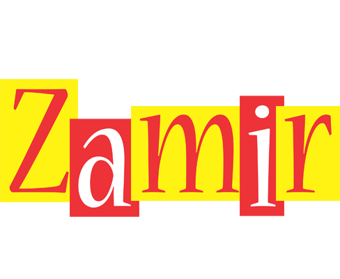 Zamir errors logo
