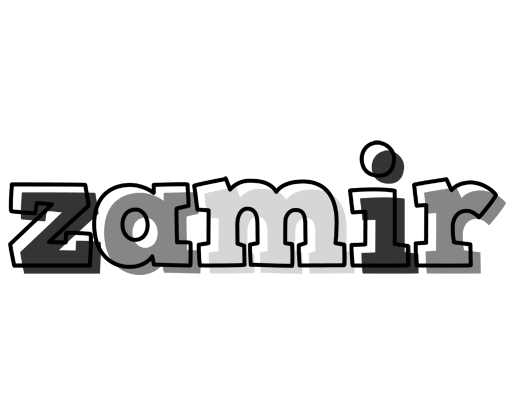 Zamir night logo