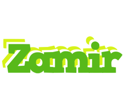 Zamir picnic logo