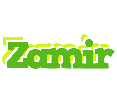 Zamir picnic logo