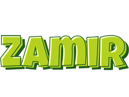 Zamir summer logo