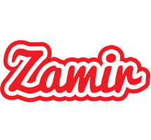 Zamir sunshine logo