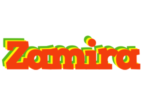 Zamira bbq logo