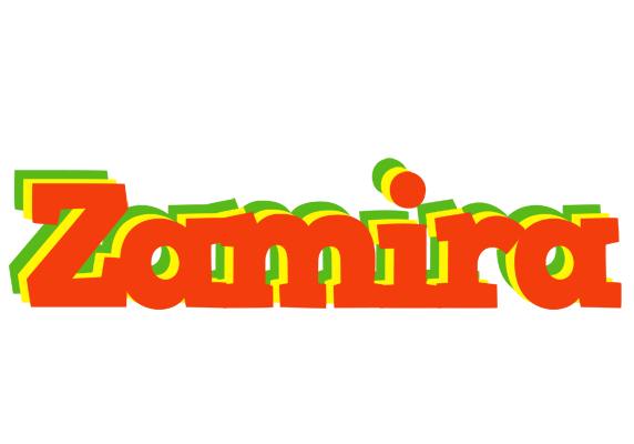 Zamira bbq logo