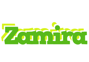 Zamira picnic logo