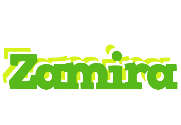 Zamira picnic logo