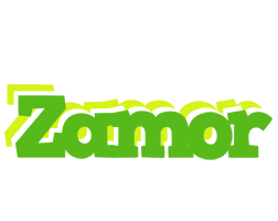 Zamor picnic logo