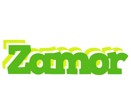 Zamor picnic logo