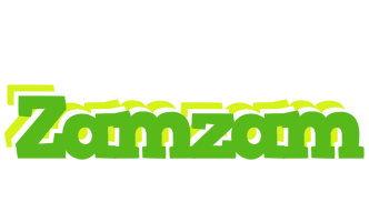 Zamzam picnic logo