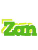 Zan picnic logo