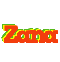 Zana bbq logo