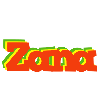 Zana bbq logo