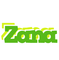 Zana picnic logo