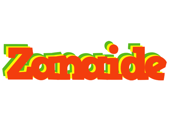 Zanaide bbq logo