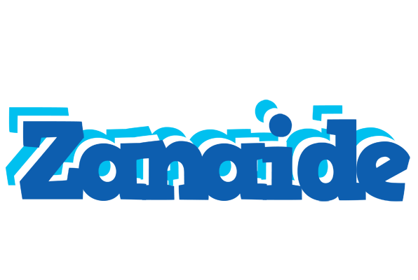 Zanaide business logo