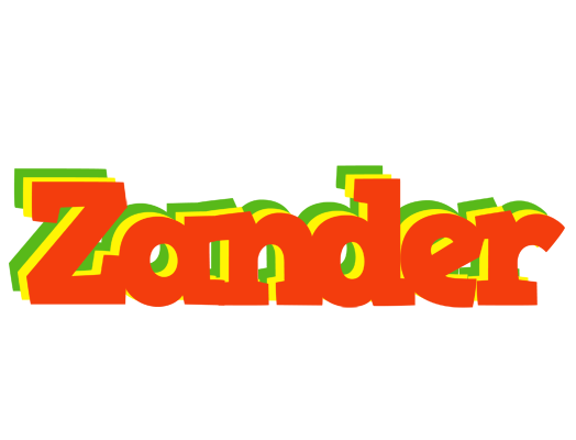 Zander bbq logo