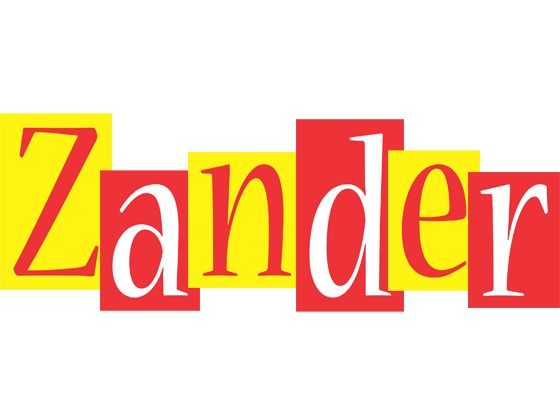Zander errors logo