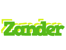 Zander picnic logo