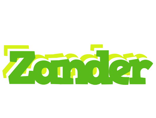 Zander picnic logo