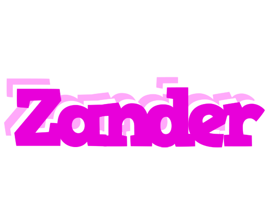 Zander rumba logo