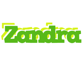 Zandra picnic logo